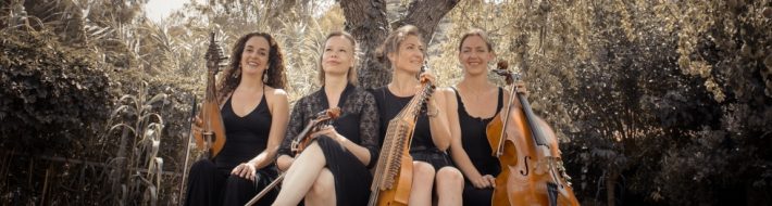 Tokso Folk String Quartet Tokso carousel